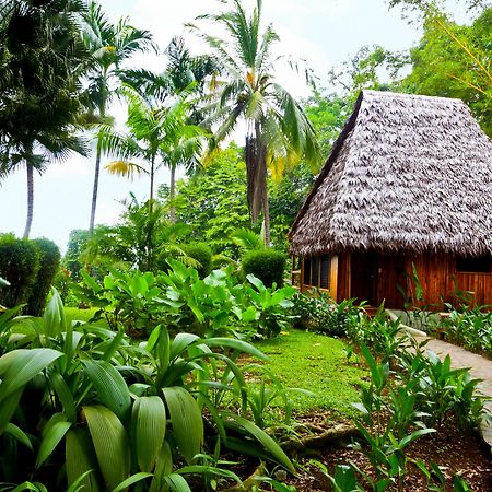 Puerto Jiménez Bosque Del Cabo Rain Forest Lodge מראה חיצוני תמונה