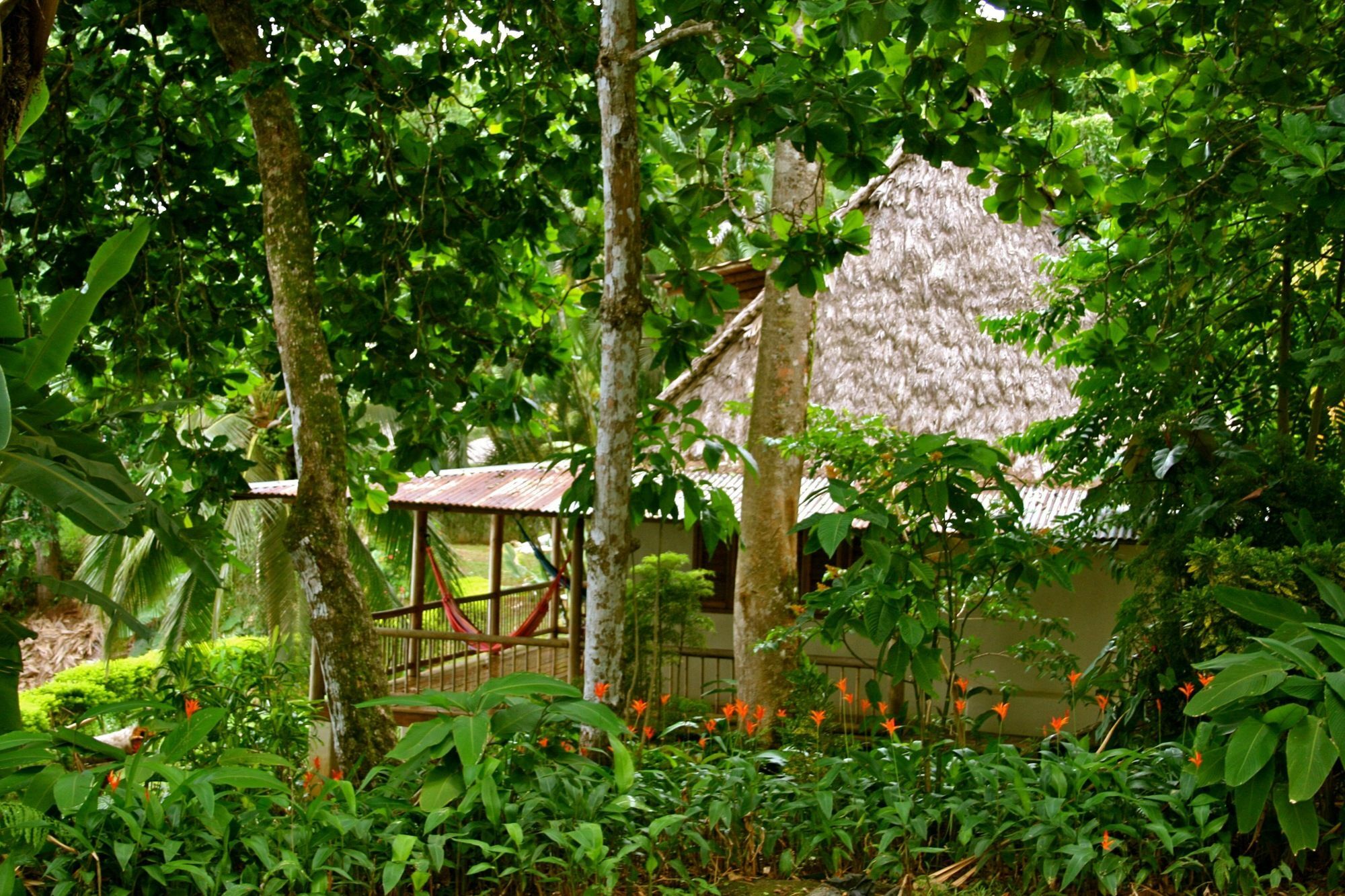 Puerto Jiménez Bosque Del Cabo Rain Forest Lodge מראה חיצוני תמונה